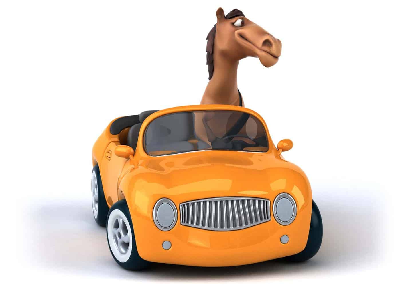 The Difference in an Equine Only Facility Excel Equine Horse Feeds