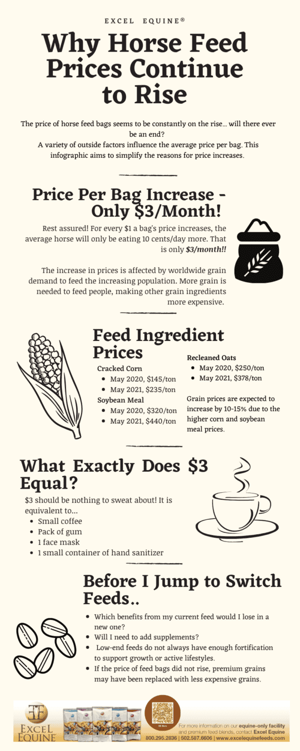 Why Increasing Horse Feed Prices Should Not Be Scary Excel Equine